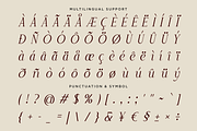 Elegant Wedding Serif - Rapodhite, a Serif Font by Font Liner (Thumbnail 13 of 13)