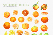 Citrusy Fruits watercolor collection, a Decorative Illustration by Volha Studio (Thumbnail 3 of 10)