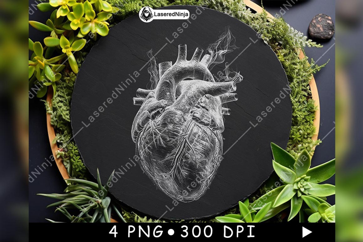 Anatomical Human Heart Flames Smoke, a Background Graphic by LaseredNinja (Photo 4 of 7)