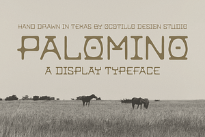 PALOMINO Display Font