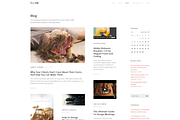 Ellion | Portfolio Template, a WordPress Template by premiumwd (Thumbnail 5 of 5)