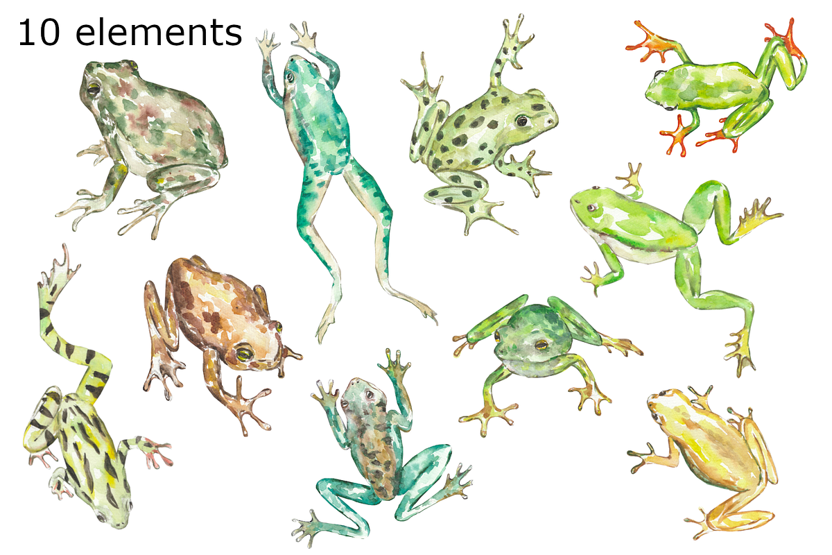 Frog watercolor clipart, a Background Graphic by GoodFairyClipArt (Photo 2 of 3)