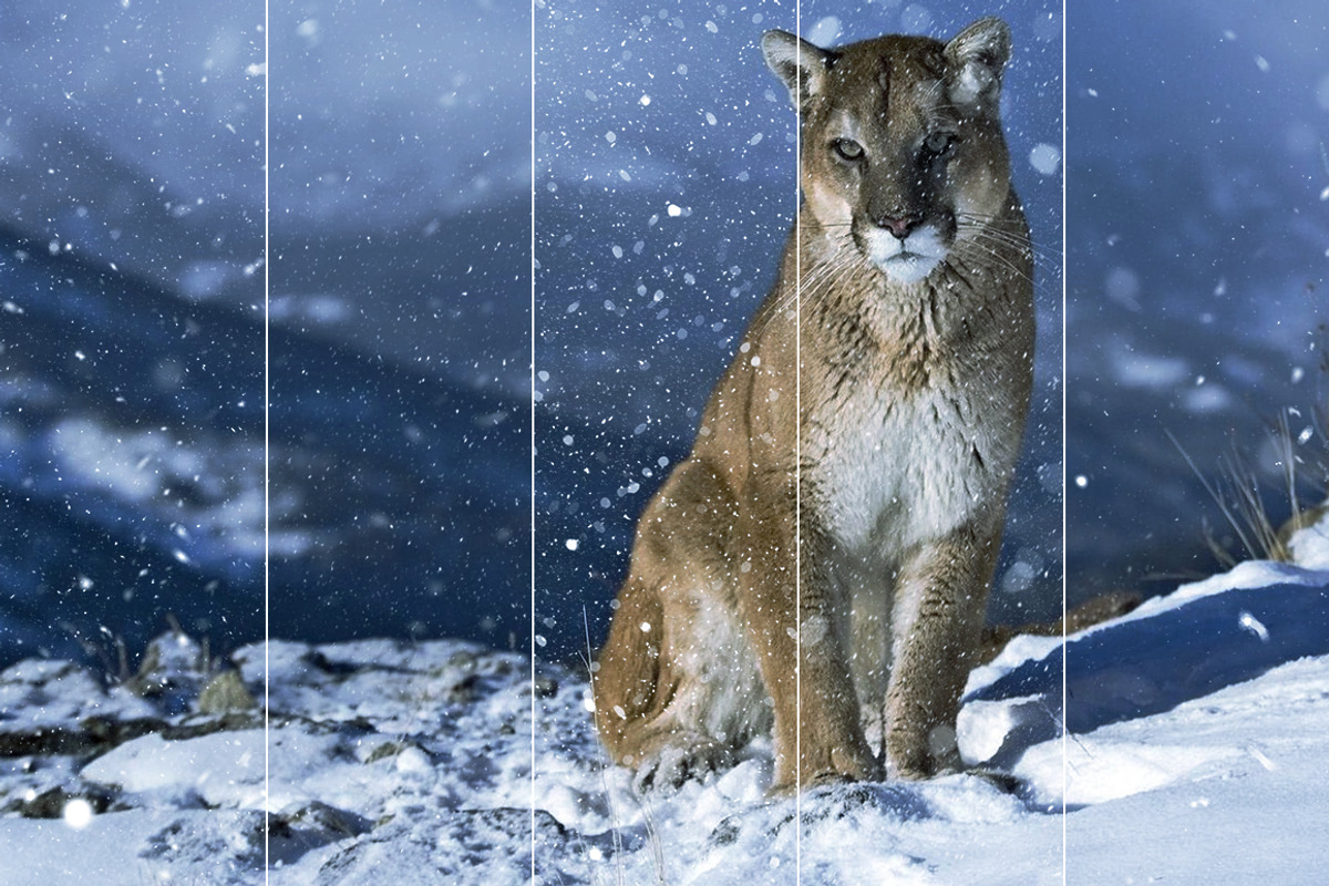 Only Visual Effects Bundle, an Action Add-On by ArtistMef (Photo 25 of 45)