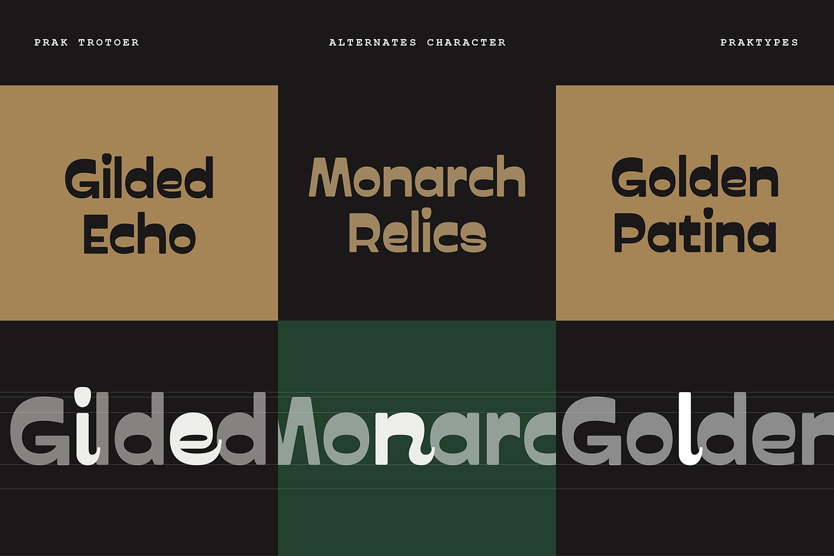 PRAK Trotoer - Vintage Display Font, a Sans Serif Font by Healltica.std (Photo 5 of 27)