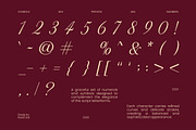 Avonia Modern Luxury Script Font, a Script Font by Rasio Studio (Thumbnail 3 of 9)