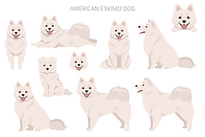 American Eskimo Dog Clipart