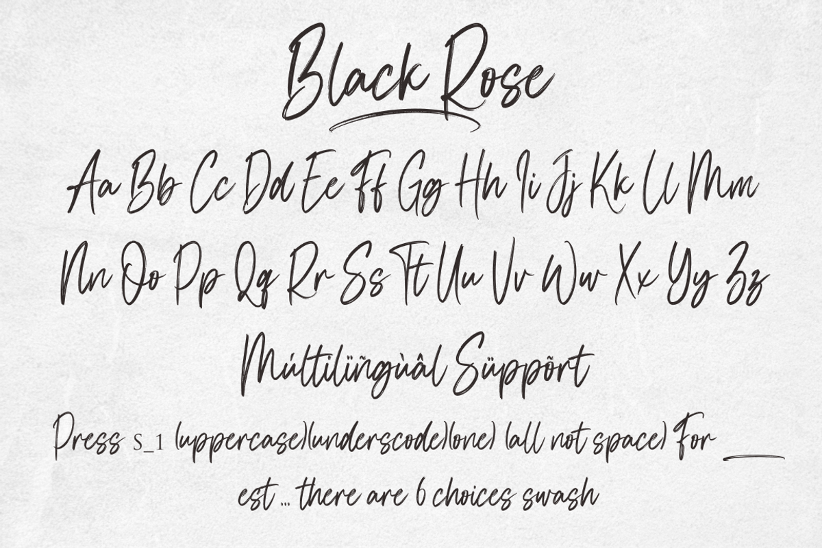 Black Rose, a Script Font by N (Photo 7 of 8)
