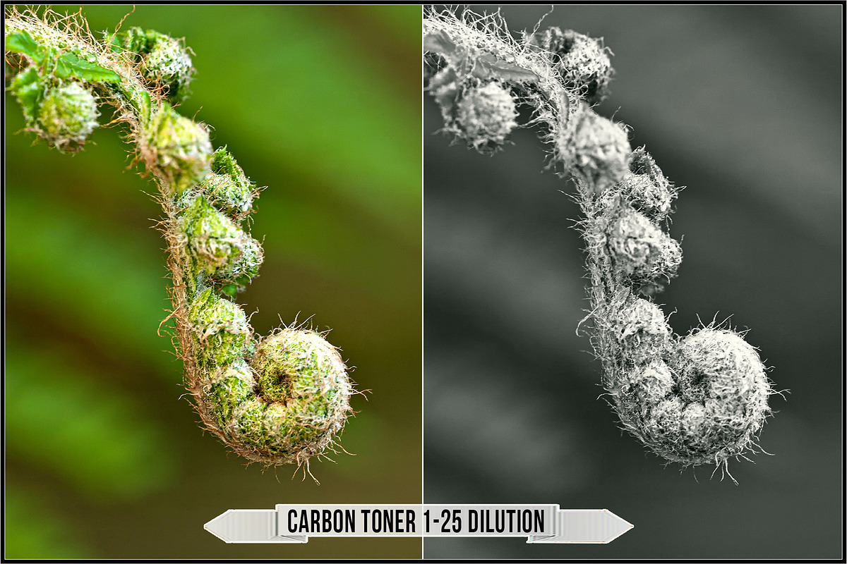 Darkroom Toners - Carbon preview 5