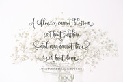 Carelina - Modern Calligraphy, a Script Font by erlosDESIGN (Thumbnail 7 of 12)