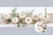 PSD Screenshot Templates, a Presentation Template by SunnyTangerine Stock (Thumbnail 3 of 7)