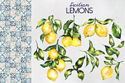 Sicilian lemons, an Education Illustration by LiliaUdod (Thumbnail 2 of 8)