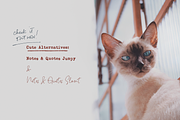 Notes And Quotes Font Duo, a Serif Font by Ana's Fonts (Thumbnail 11 of 11)