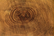 Mixed Media Textures, a Texture Graphic by Blue Line Design (Thumbnail 11 of 21)