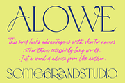 Karme // Modern Font Duo, a Serif Font by PeachCreme (Thumbnail 12 of 13)