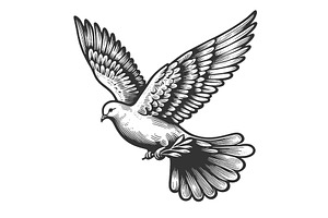 Flying Dove with Olive Branch vector, an Animal Illustration by AlexArt