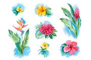 Tropical flora, a Texture Illustration by Sundra (Thumbnail 15 of 15)