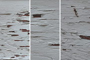 Painted wood textures, a Texture Graphic by The Shop (Thumbnail 8 of 26)