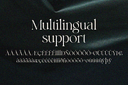 Bayari, a Serif Font by zaaintype (Thumbnail 11 of 11)