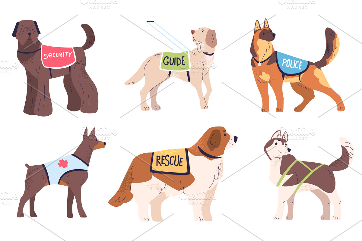 Service dogs. Dogs assistants guide, an Animal Illustration by Stock-Smart-Start