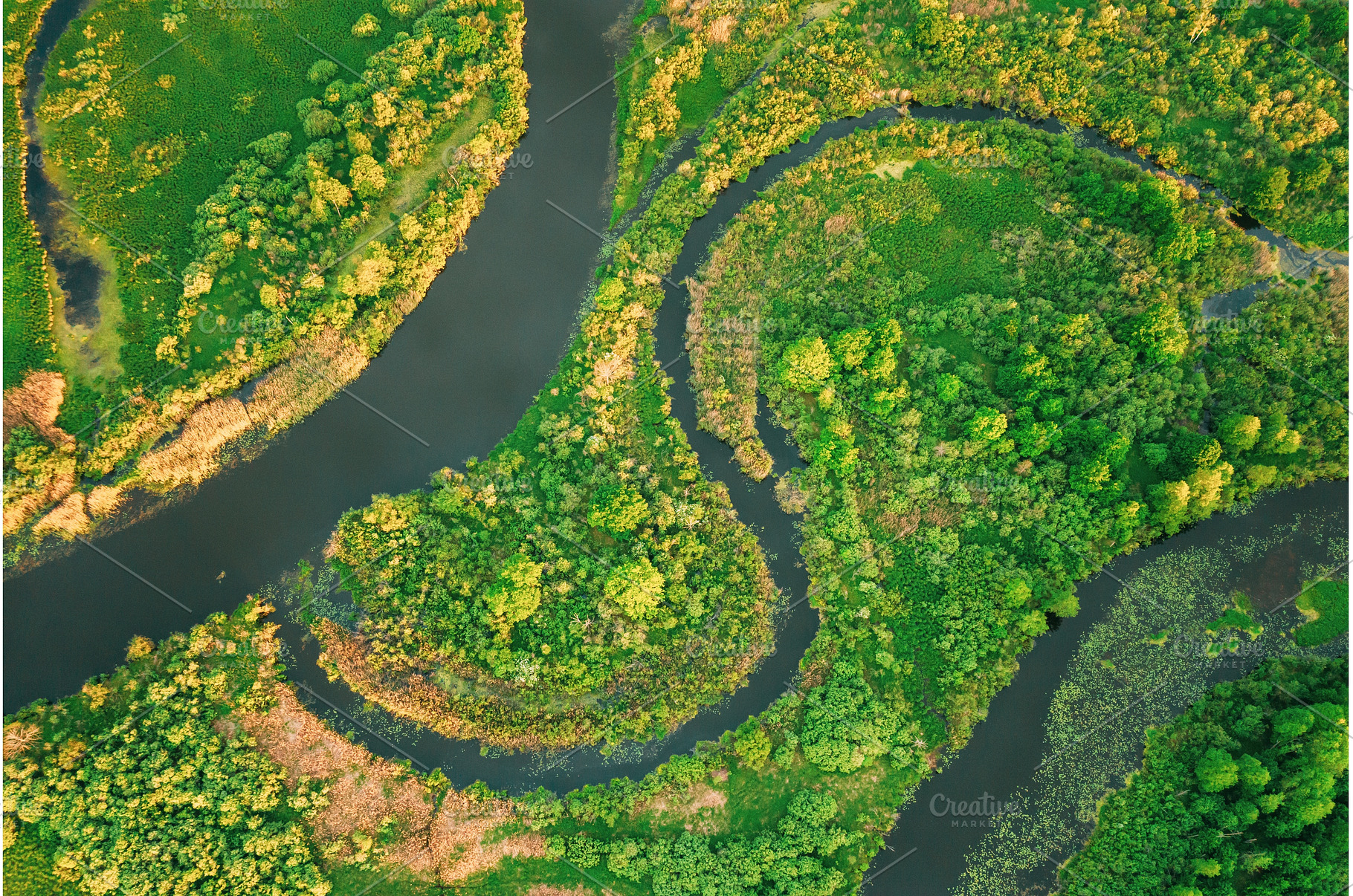Aerial View Green Forest Woods And, a Nature Photo by Our Amazing World