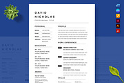 Executive Career Resume, a Resume Template by Nur Designer (Thumbnail 3 of 4)