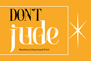 Resilience Expressed Font, a Serif Font by 177Studio (Thumbnail 3 of 8)
