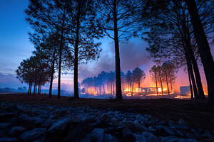 Forest area affected by wildfire with burnt trees and glowing flames during twi, a Nature Photo by AlyaAnd