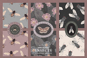 Hand Painted Insects Clipart, an Illustration by gamm (Thumbnail 6 of 9)