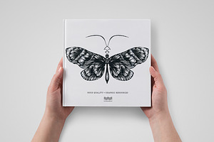 Butterfly Sketch Collection