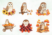Autumn Owl Clipart Sublimation, an Illustration by Creative Art (Thumbnail 9 of 9)