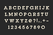 Royal Grunge Vintage Font, a Slab Serif Font by Fourteen Letter (Thumbnail 5 of 6)