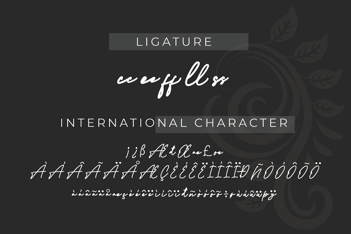 Fantasia - Signature style font, a Script Font by mahstudios (Photo 5 of 8)