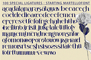 Starting Martello - Ligature Font, a Serif Font by 177Studio (Thumbnail 6 of 7)