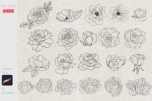 Procreate Line Art Flower Stamps