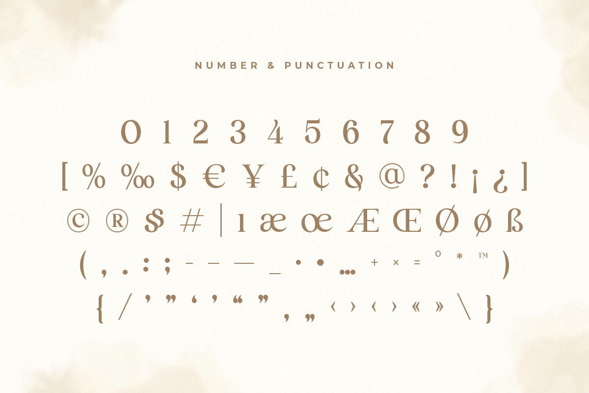 Salute - Modern Vintage Beauty Font, a Serif Font by Sensatype (Photo 21 of 21)