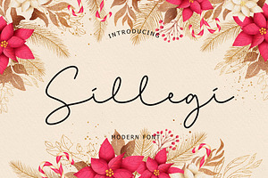 Sillegi Beautiful Font