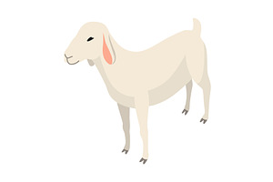 Farm animal isometric. Domestic, an Animal Illustration by the8monkey