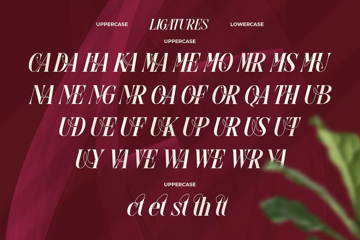 Glow More Typeface, a Serif Font by alit design (Photo 10 of 17)