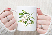 Watercolor Winter Berry Christmas Se, an Illustration by Sublimation Artist (Thumbnail 5 of 6)