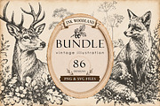 Woodland Ink Illustration Bundle, a Decorative Illustration by Dervik Art Store (Thumbnail 1 of 10)