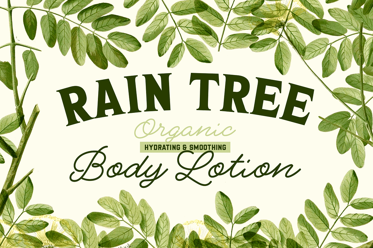 Gainsborough Font Bundle preview 6