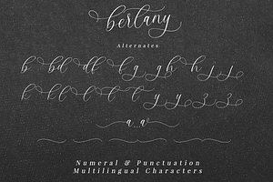 Bertany - Modern Calligraphy Font