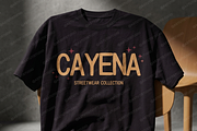 Cayena - Modern Serif, a Serif Font by Astuti Studio (Thumbnail 20 of 25)