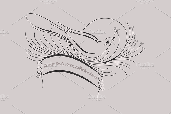 Zanner Birds Vector Collection Boxes preview 3