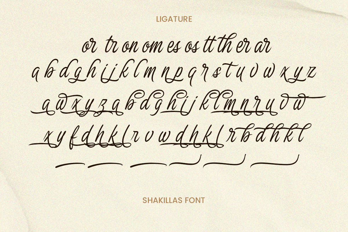 The Shakillas - Handwritten Script, a Script Font by Letterhend Studio