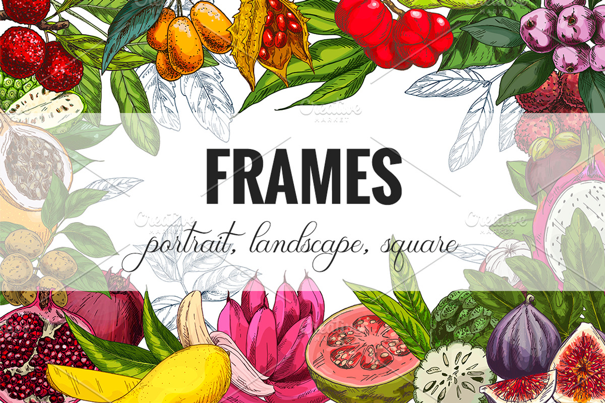 Exotic fruits. Vector collection., a Healthcare Illustration by JSolomatina (Photo 4 of 9)