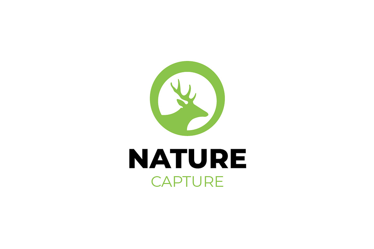 Wildlife Photography Deer Logo, a Branding & Logo Template by bvcreates (Photo 2 of 6)