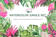 Watercolor jungle set, an Illustration by Watercolor & sketches (Thumbnail 1 of 13)