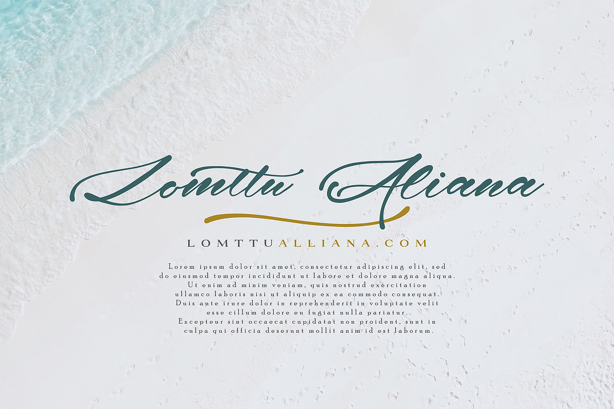 Alayska Black Friday, a Script Font by pineungtype (Photo 5 of 8)