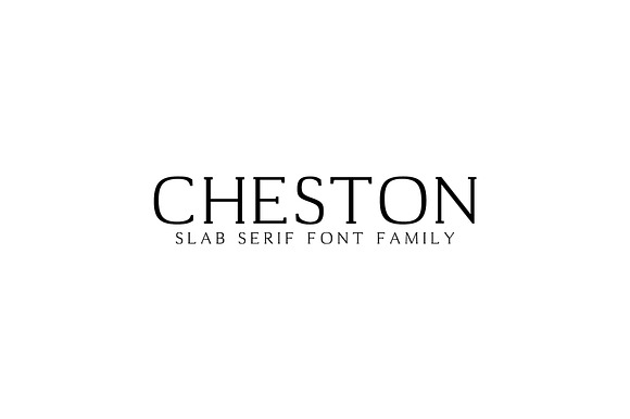 Cheston Slab Serif 5 Font Family Set preview 7